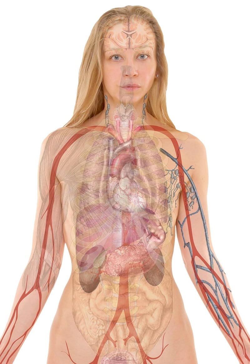 Lung Capacity